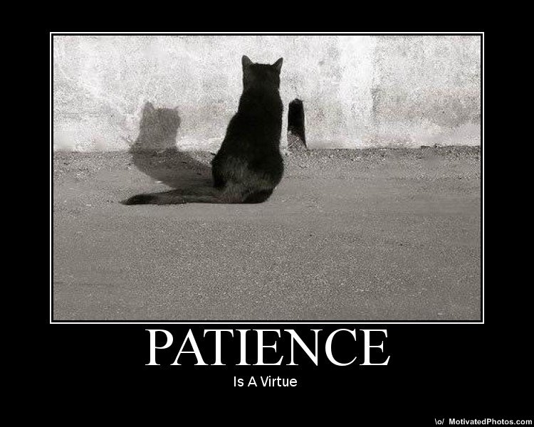 Patience is Virtue